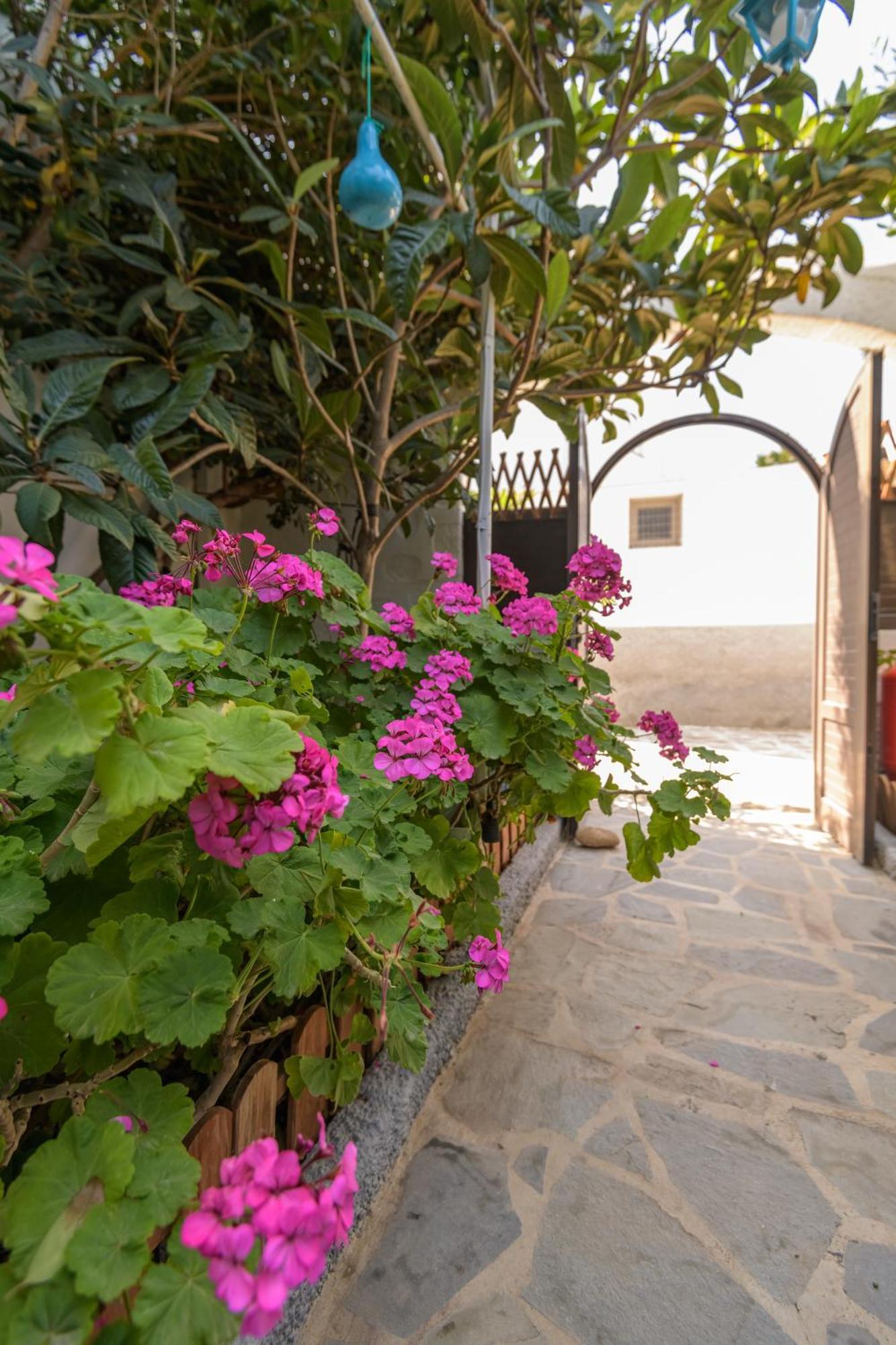 Grikos Hotel Patmos Town Ngoại thất bức ảnh